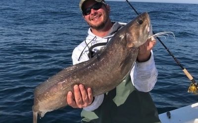 2 Maryland Fishing Records Set For ‘Monster’ White Hake, Catfish