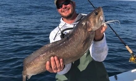 2 Maryland Fishing Records Set For ‘Monster’ White Hake, Catfish