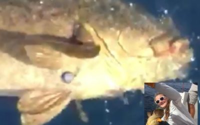200-pound grouper