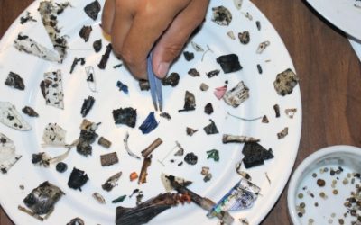 3 Simple Ways to Reduce Plastic Waste and Pollution When Boating