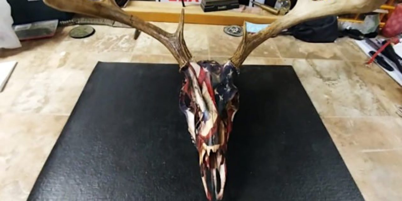 5 Cool Ways to Make a Patriotic U.S. Flag Taxidermy Mount