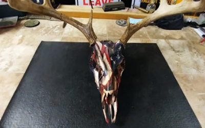5 Cool Ways to Make a Patriotic U.S. Flag Taxidermy Mount