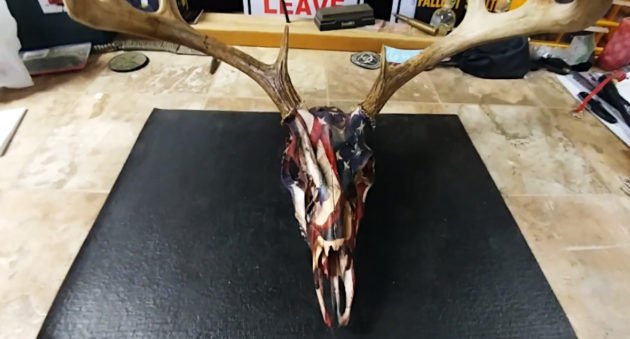 U.S. Flag Taxidermy Mount