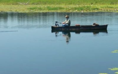 6 Topwater Fishing Tips to Up Your Angling Game
