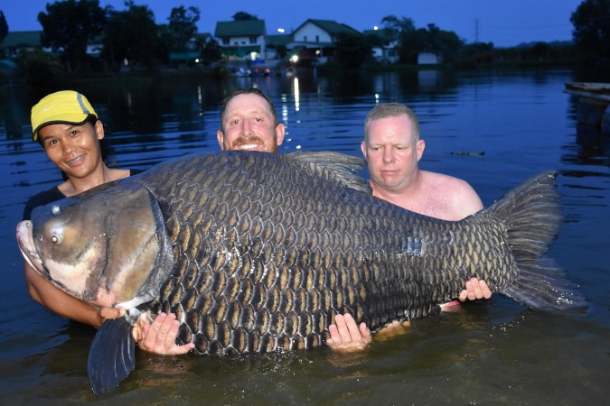 80 minute Fight Lands Brit World Record Siamese Carp