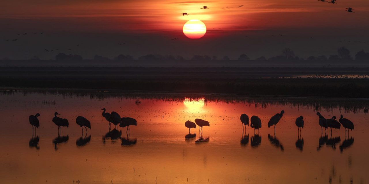 Backlight And Silhouettes Assignment Winner Garry Everett