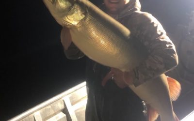 CBS Minn – ‘We Will Never Know’: Uncertified World Record Muskie Boated, Released In Mille Lacs Lake