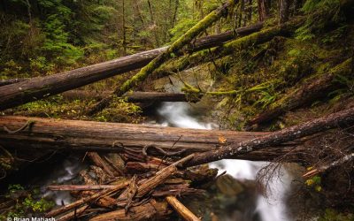 Embrace Your Obstacles In Photography