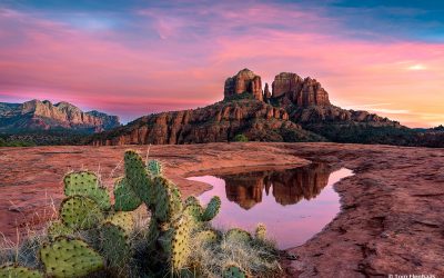 Extreme Angles Assignment Winner Tom Elenbaas