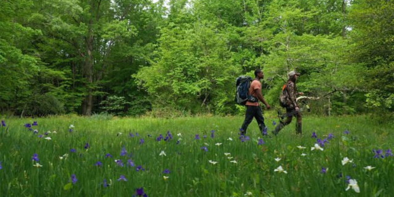 Fat Tire Beer Will Donate $1 to Public Lands Every Time These Videos Are Shared