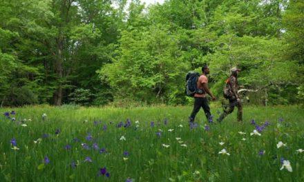 Fat Tire Beer Will Donate $1 to Public Lands Every Time These Videos Are Shared