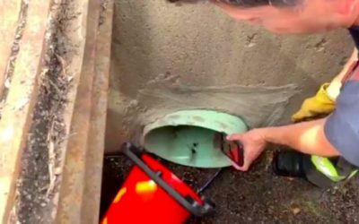Firefighters Rescue Ducklings Using YouTube Duck Calls