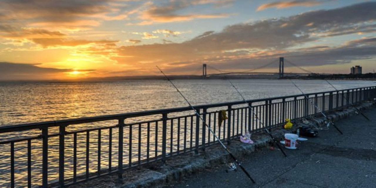 Fishing in New York: What to Know Before You Go