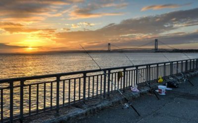 Fishing in New York: What to Know Before You Go