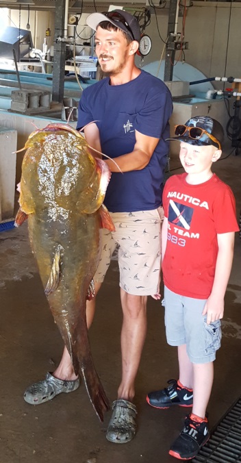Florida Fish and Wildlife Announce Record-Setting 69.3 Pound Flathead Catfish 2