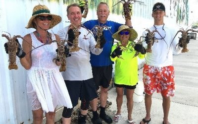 Florida FWC Calls on Divers to Care for Coral