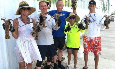 Florida FWC Calls on Divers to Care for Coral