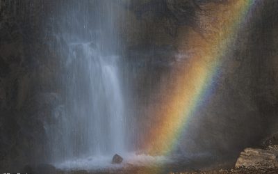 Focus On The Intimate Landscape