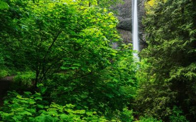Get Creative With Natural Frames In Your Photos