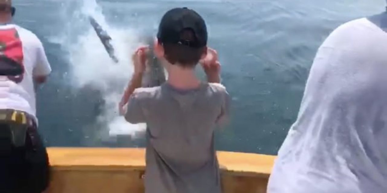 Great White Shark Nearly Bites Boy Leaning Off Edge of Boat