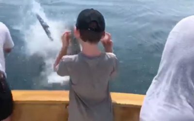 Great White Shark Nearly Bites Boy Leaning Off Edge of Boat