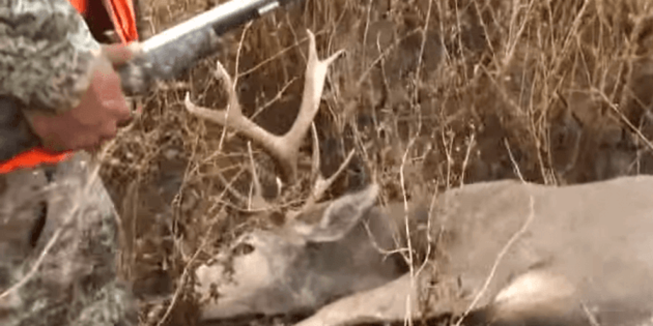 Have You Ever Seen a Deer Get Even With a Hunter?