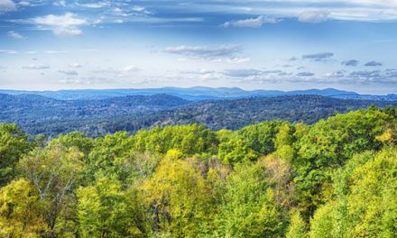 Here’s What’s Backwards About This Op-Ed on Connecticut Hunting Land