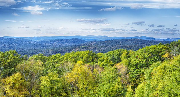 Hunting Land In Connecticut