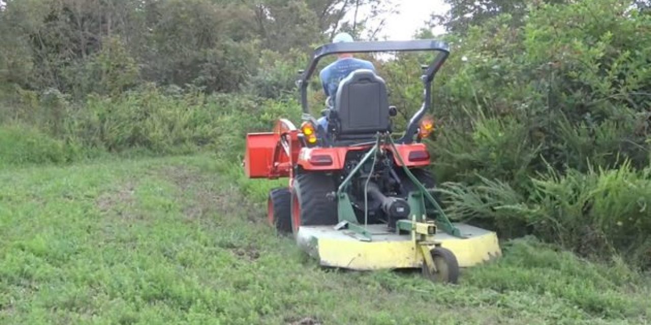 How to Create a Natural Food Plot