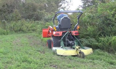 How to Create a Natural Food Plot