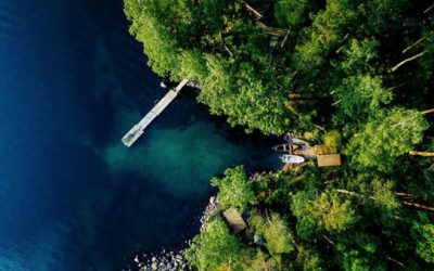 How to Easily Find a Fishing Report for Your Area