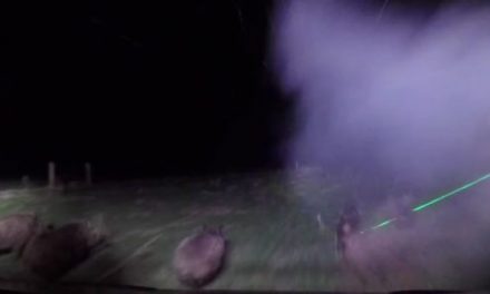 Hunting Hogs Using Lasers is the Best Way to Finish the Summer