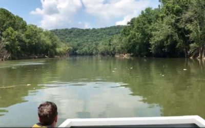Jim Beam Warehouse Fire Kills ‘Tens of Thousands’ of Fish