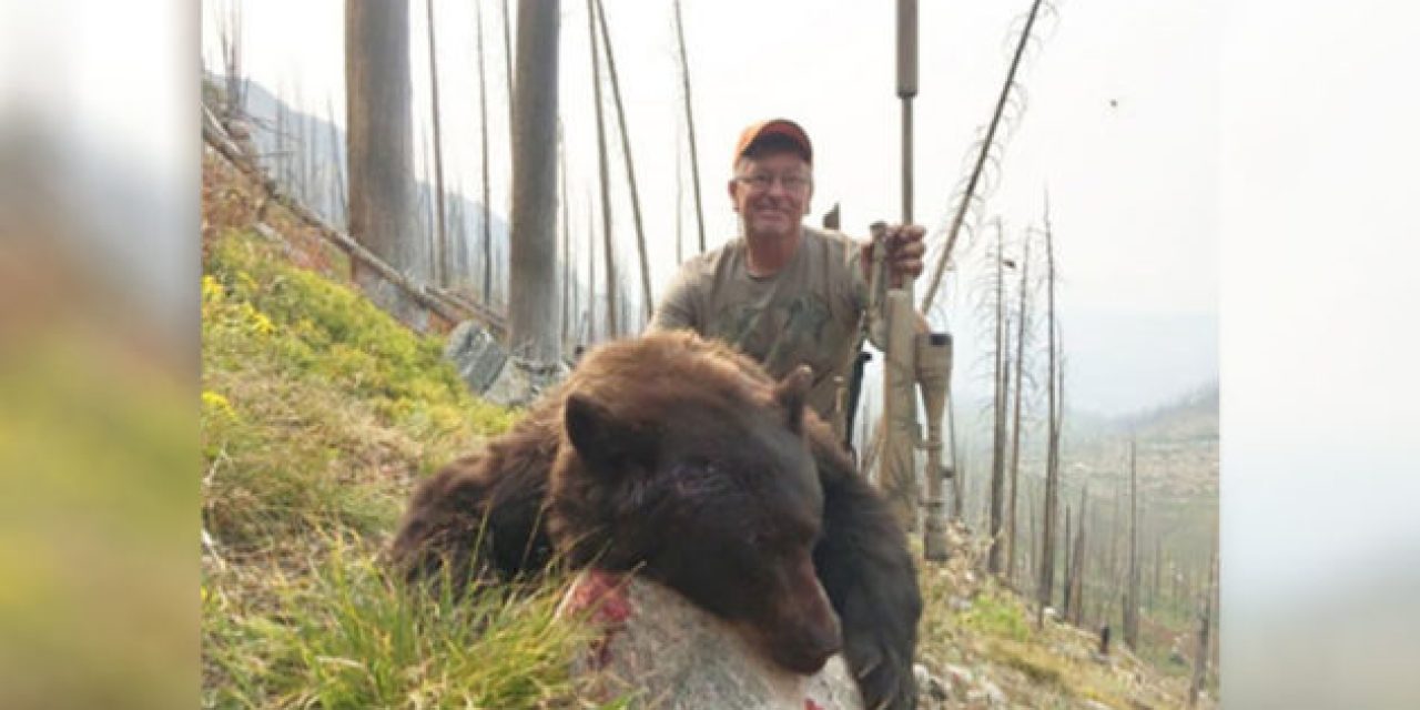 Man Receives 12-Year Hunting Ban After Bear Poaching Incident