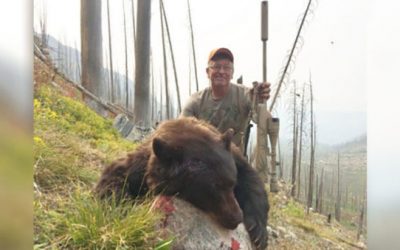 Man Receives 12-Year Hunting Ban After Bear Poaching Incident