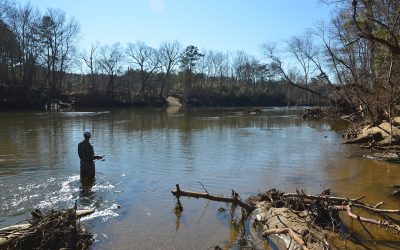 Mitchell Fishing Tips – Targeting River Smallmouths