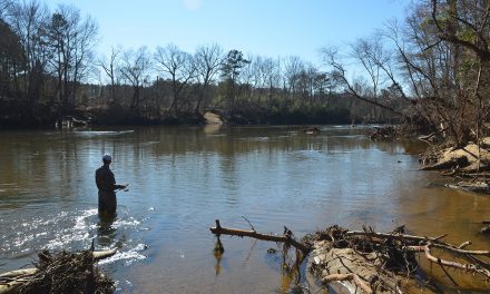 Mitchell Fishing Tips – Targeting River Smallmouths