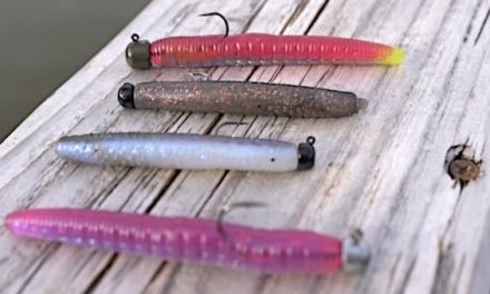 Ned Rig: How to Tie It, Fish It, and Make It Work