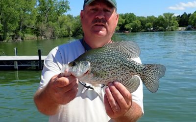 One Fish