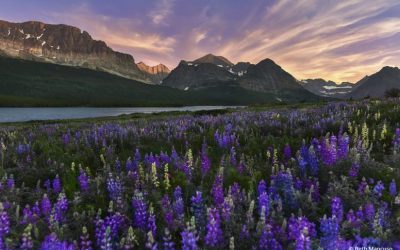 Photo Of The Day By Beth Mancuso