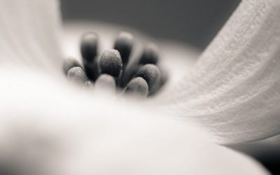 Photo Of The Day By Neil Williams