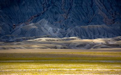 Photo Of The Day By Sam Watson