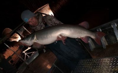 Possible-World-Record Muskie Pulled From Mille Lacs Lake