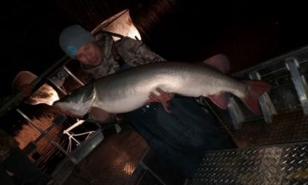 Possible-World-Record Muskie Pulled From Mille Lacs Lake