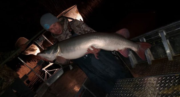 muskie world record