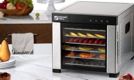 Preserve Food for Your Next Trip With One of the Best Food Dehydrators