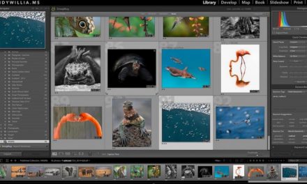 reCOMPOSE Podcast 060: Lightroom Tips With Katrin Eismann