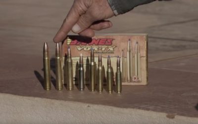 Richard Mann & Ron Spomer Share Their Thoughts on the Best Cartridges for Hunting in Africa