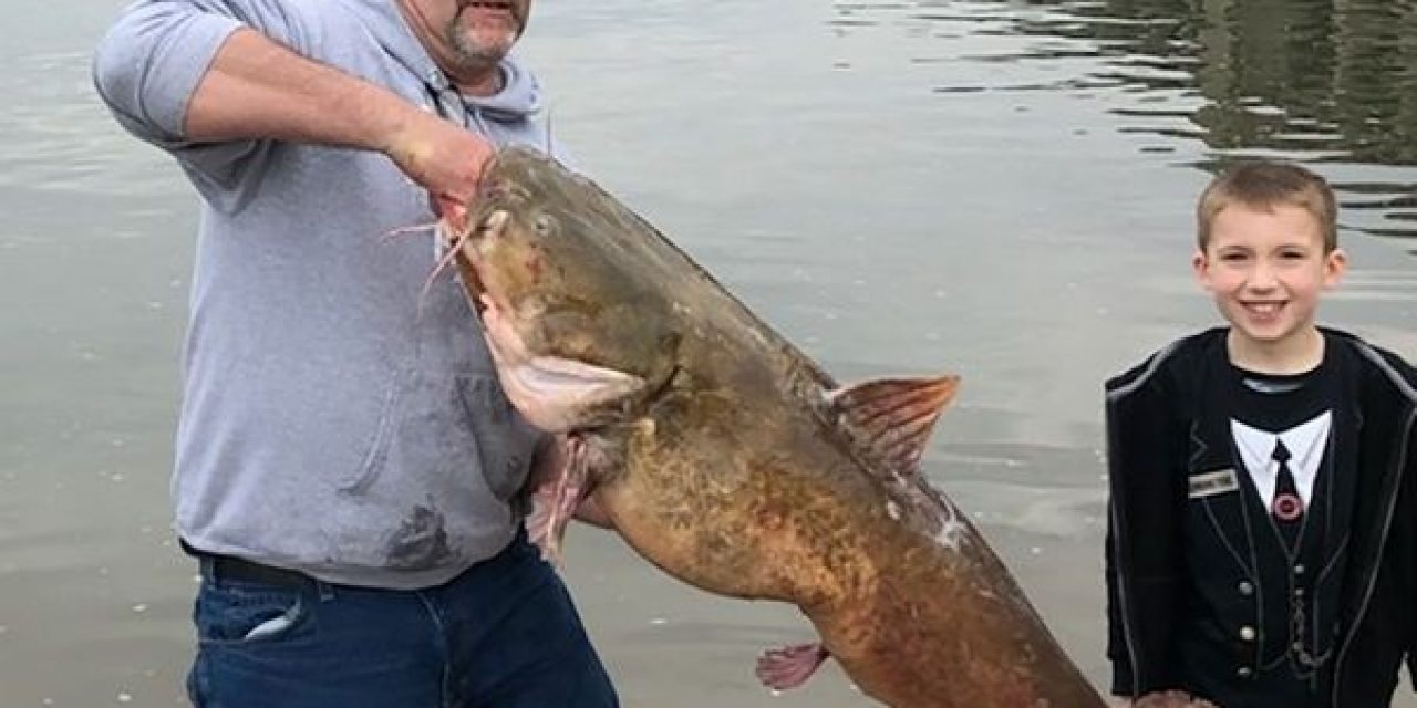 River monsters and other biggest fish caught in Pennsylvania