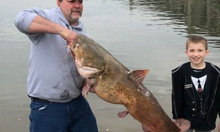River monsters and other biggest fish caught in Pennsylvania